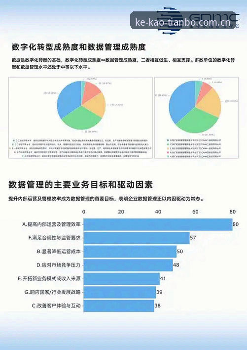 TB China 2025 数据统计使用技巧深度评测：从兼容故障到顺畅运转的真实场景